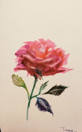 コットマン12色を使ってバラを描いてみました
